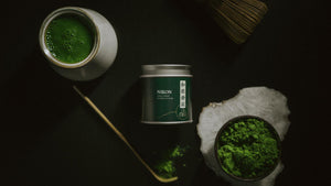 Nikon - Master's signature